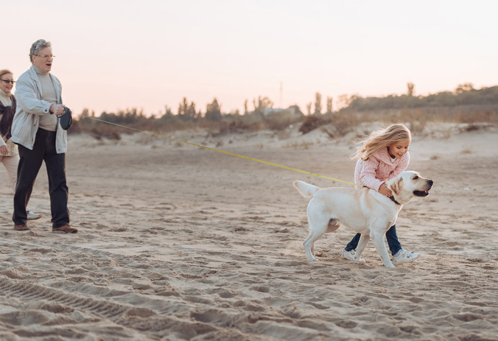 granddaughter with dog on the beach retirement annuity chicago il